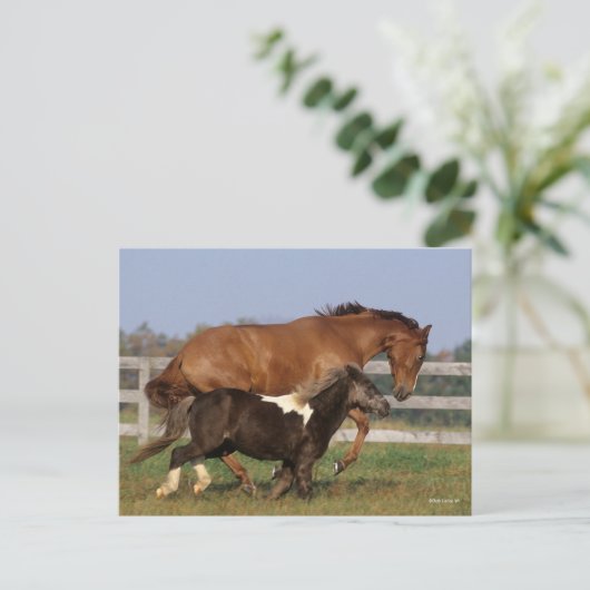 Bob Langrish | Thoroughbred en Shetland Pony Briefkaart (Staand voorkant)
