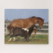 Bob Langrish | Thoroughbred en Shetland Pony Legpuzzel (Horizontaal)