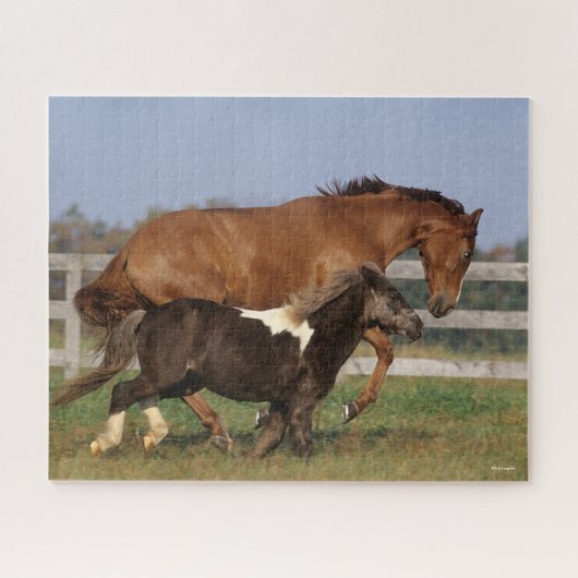 Bob Langrish | Thoroughbred en Shetland Pony Legpuzzel (Horizontaal)