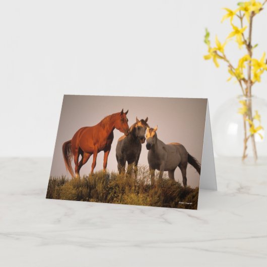 Bob Langrish Three Arab Horses die op zonsondergan Kaart (Gele Bloem)