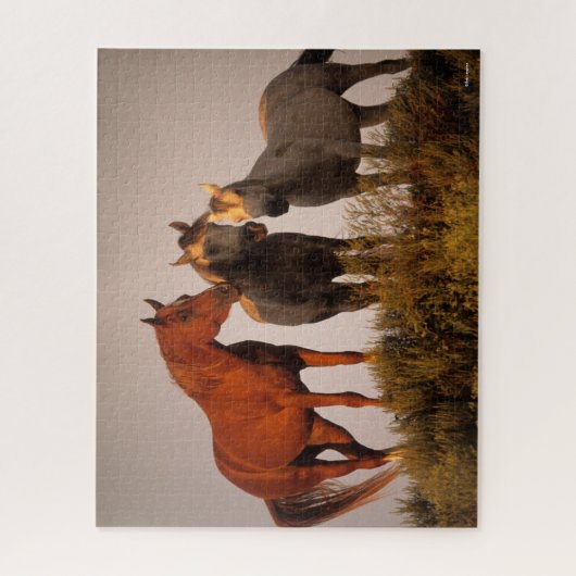 Bob Langrish Three Arab Horses die op zonsondergan Legpuzzel (Verticaal)