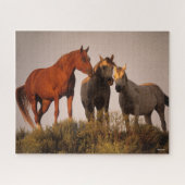 Bob Langrish Three Arab Horses die op zonsondergan Legpuzzel (Horizontaal)