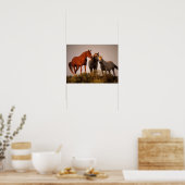 Bob Langrish Three Arab Horses die op zonsondergan Poster (Keuken)