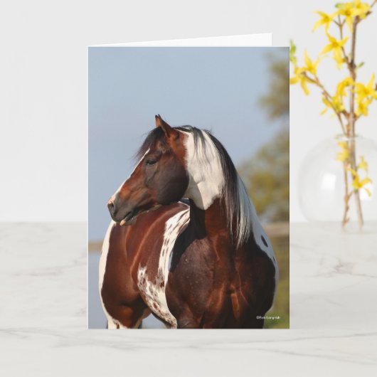 Bob Langrish Tobiano Paint Horse Stallion headshot Kaart (Gele Bloem)