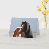 Bob Langrish Tobiano Paint Horse Stallion Headshot Kaart (Gele Bloem)