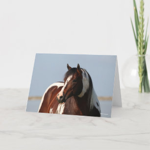 Bob Langrish Tobiano Paint Horse Stallion Headshot Kaart