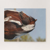 Bob Langrish Tobiano Paint Horse Stallion headshot Legpuzzel (Horizontaal)