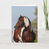 Bob Langrish | Tobiano Paint Stallion Headshot Kaart (Voorkant)