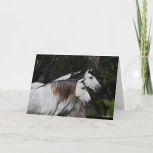 Bob Langrish   Twee Andalusiërs die met elkaar sam Kaart