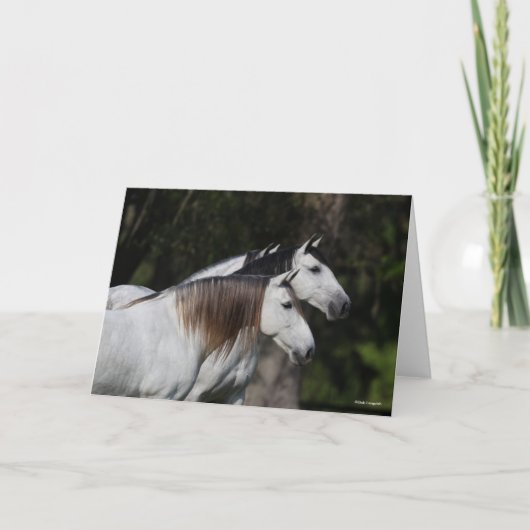 Bob Langrish | Twee Andalusiërs die met elkaar sam Kaart (Voorkant)