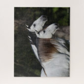 Bob Langrish | Twee Andalusiërs die met elkaar sam Legpuzzel (Verticaal)