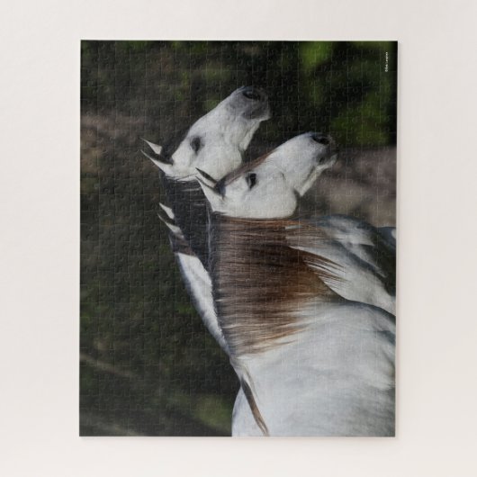 Bob Langrish | Twee Andalusiërs die met elkaar sam Legpuzzel (Verticaal)