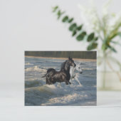 Bob Langrish | Twee Arabische paarden die in de Ze Briefkaart (Staand voorkant)