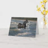 Bob Langrish | Twee Arabische paarden die in de Ze Kaart (Gele Bloem)