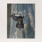 Bob Langrish | Twee Arabische paarden die in de Ze Legpuzzel (Verticaal)