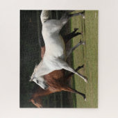 Bob Langrish | Twee Arabische paarden die samenlev Legpuzzel (Verticaal)