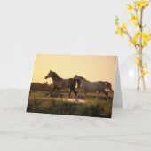 Bob Langrish | Twee Arabische paarden lopen op zon Kaart (Gele Bloem)