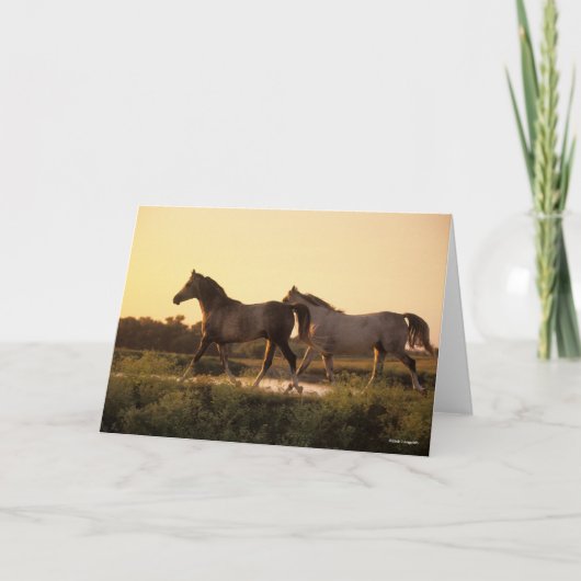 Bob Langrish | Twee Arabische paarden lopen op zon Kaart (Voorkant)