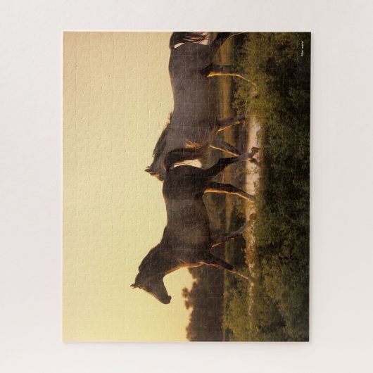 Bob Langrish | Twee Arabische paarden lopen op zon Legpuzzel (Verticaal)