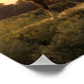 Bob Langrish | Twee Arabische paarden lopen op zon Poster (Hoek)