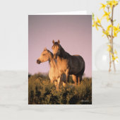 Bob Langrish | Twee Arabische paarden staan op de  Kaart (Gele Bloem)