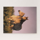 Bob Langrish | Twee Arabische paarden staan op de  Legpuzzel (Horizontaal)