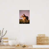 Bob Langrish | Twee Arabische paarden staan op de  Poster (Keuken)