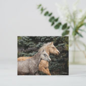 Bob Langrish | Twee Bashkir Curly-paarden — Hoofds Briefkaart (Staand voorkant)