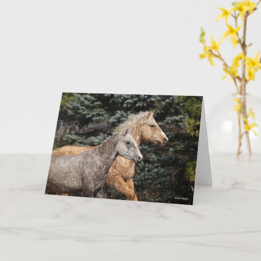 Bob Langrish | Twee Bashkir Curly-paarden — Hoofds Kaart (Gele Bloem)