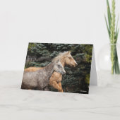 Bob Langrish | Twee Bashkir Curly-paarden — Hoofds Kaart (Voorkant)