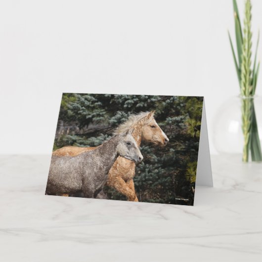 Bob Langrish | Twee Bashkir Curly-paarden — Hoofds Kaart (Voorkant)