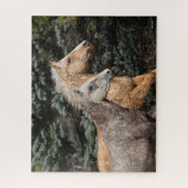 Bob Langrish | Twee Bashkir Curly-paarden — Hoofds Legpuzzel (Verticaal)