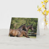 Bob Langrish | Twee bruine Andaluciaanse paarden d Kaart (Gele Bloem)