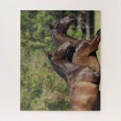 Bob Langrish | Twee bruine Andaluciaanse paarden d Legpuzzel (Verticaal)