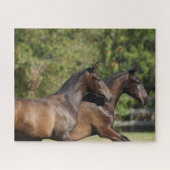 Bob Langrish | Twee bruine Andaluciaanse paarden d Legpuzzel (Horizontaal)