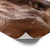 Bob Langrish | Twee Canadese sportweddenschappen Poster (Hoek)