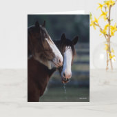 Bob Langrish | Twee Clydesdale-paarden — headshot Kaart (Gele Bloem)