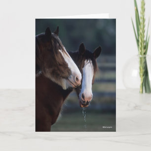 Bob Langrish Twee Clydesdale-paarden — headshot Kaart