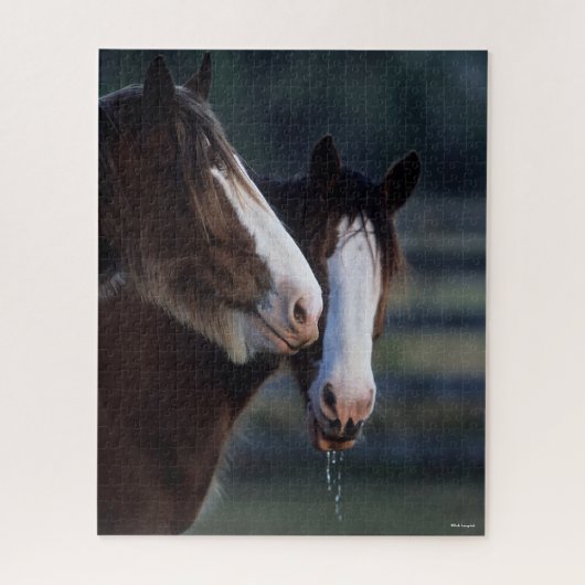 Bob Langrish | Twee Clydesdale-paarden — headshot Legpuzzel (Verticaal)