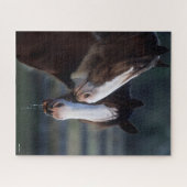 Bob Langrish | Twee Clydesdale-paarden — headshot Legpuzzel (Horizontaal)