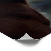 Bob Langrish | Twee Clydesdale-paarden — headshot Poster (Hoek)