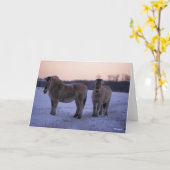 Bob Langrish | Twee Fjord-paarden met sneeuw Kaart (Gele Bloem)