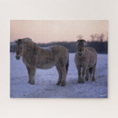 Bob Langrish | Twee Fjord-paarden met sneeuw Legpuzzel (Horizontaal)