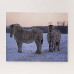 Bob Langrish Twee Fjord-paarden met sneeuw Legpuzzel