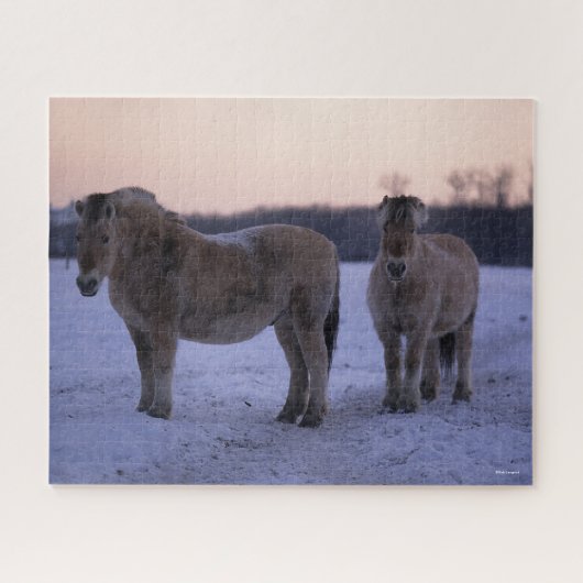 Bob Langrish | Twee Fjord-paarden met sneeuw Legpuzzel (Horizontaal)