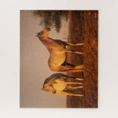 Bob Langrish | Twee grijze Arabieren die op zonson Legpuzzel (Verticaal)