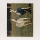 Bob Langrish | Twee grijze Arabieren die samenleve Legpuzzel (Verticaal)