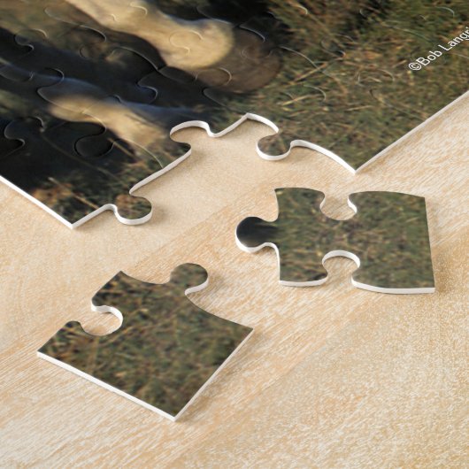 Bob Langrish | Twee grijze Arabieren die samenleve Legpuzzel (Zijkant)