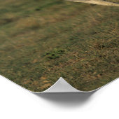 Bob Langrish | Twee grijze Arabieren die samenleve Poster (Hoek)