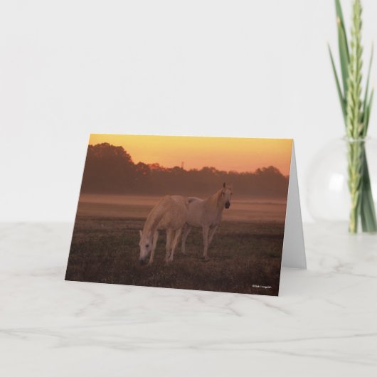 Bob Langrish | Twee grijze Arabische paarden Kaart (Voorkant)